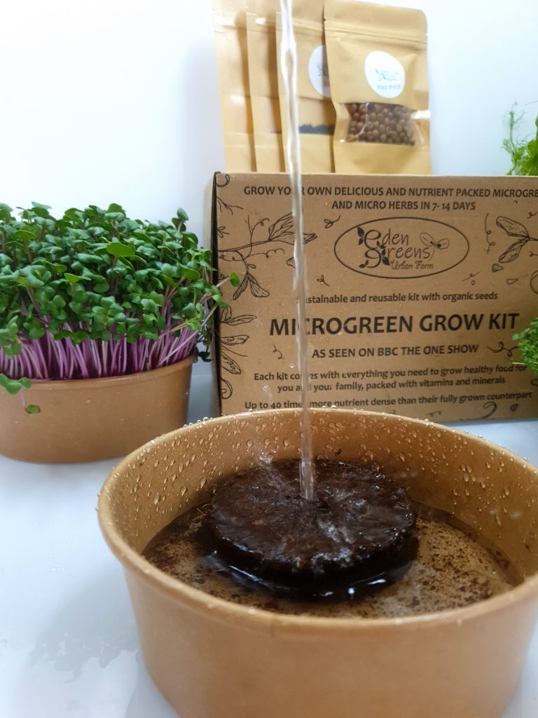 microgreen grow kit health on a shelf